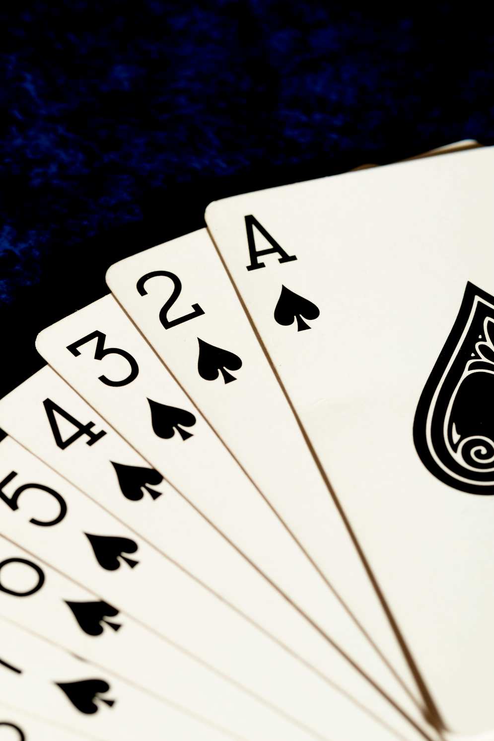 avalon casino anmelden avalon casino anmelden